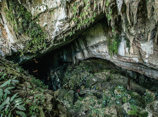 About Gunung Mulu National Park