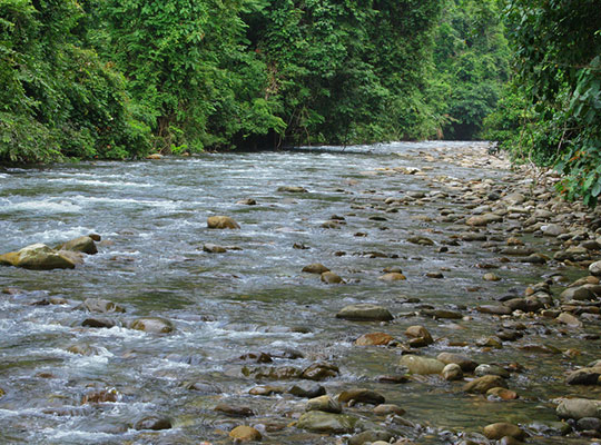 3D2N Mulu Pinnacles
